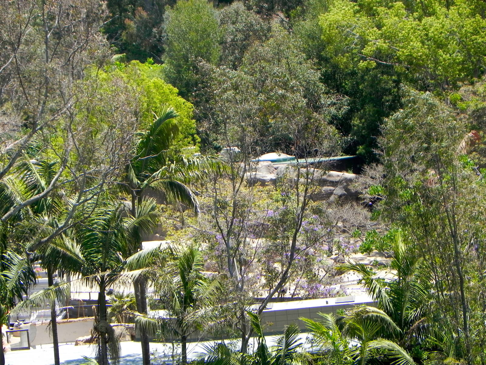 Reptile Mesa construction progress