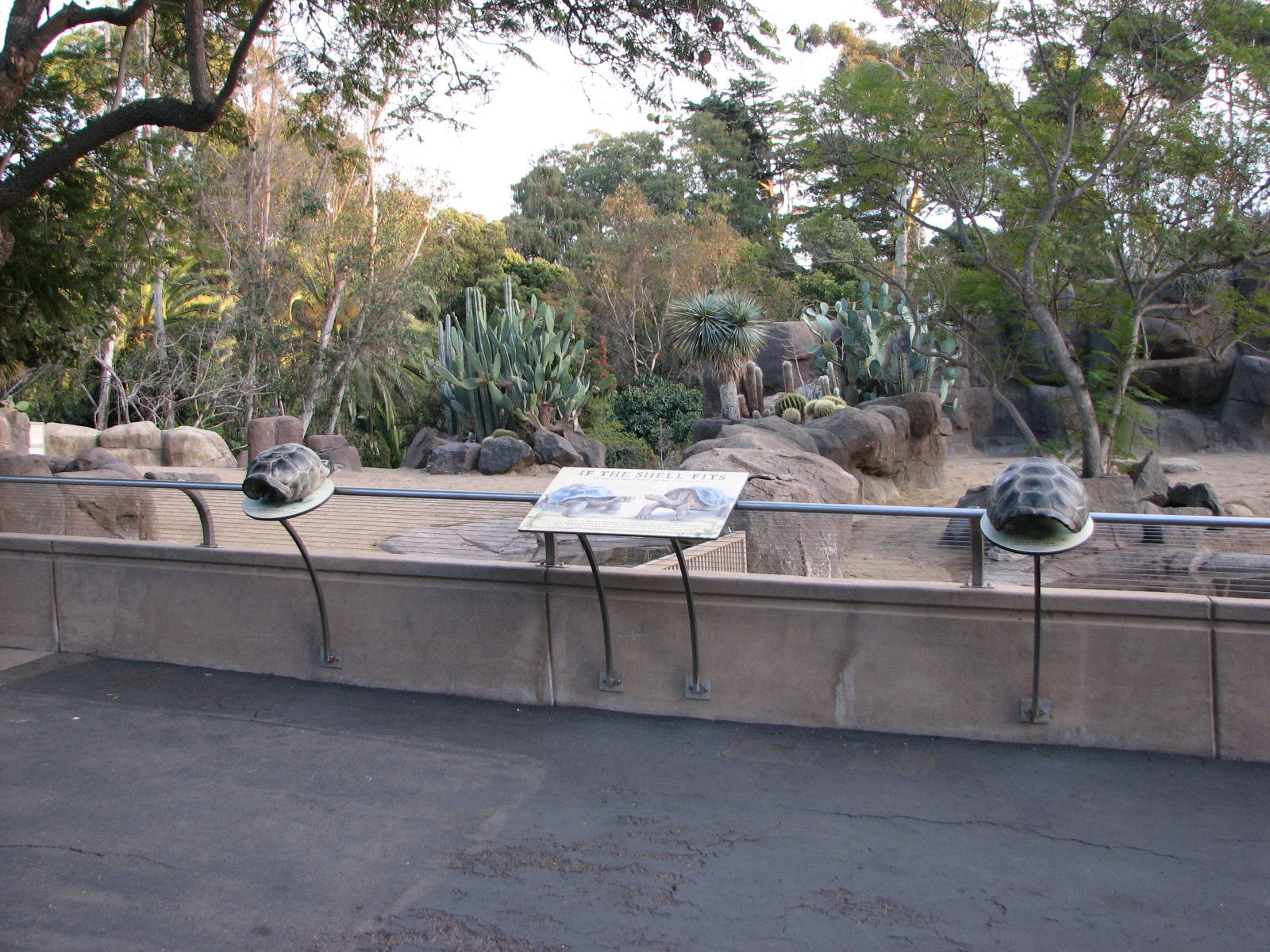 Reptile Mesa - Galapagos Tortoise Exhibit