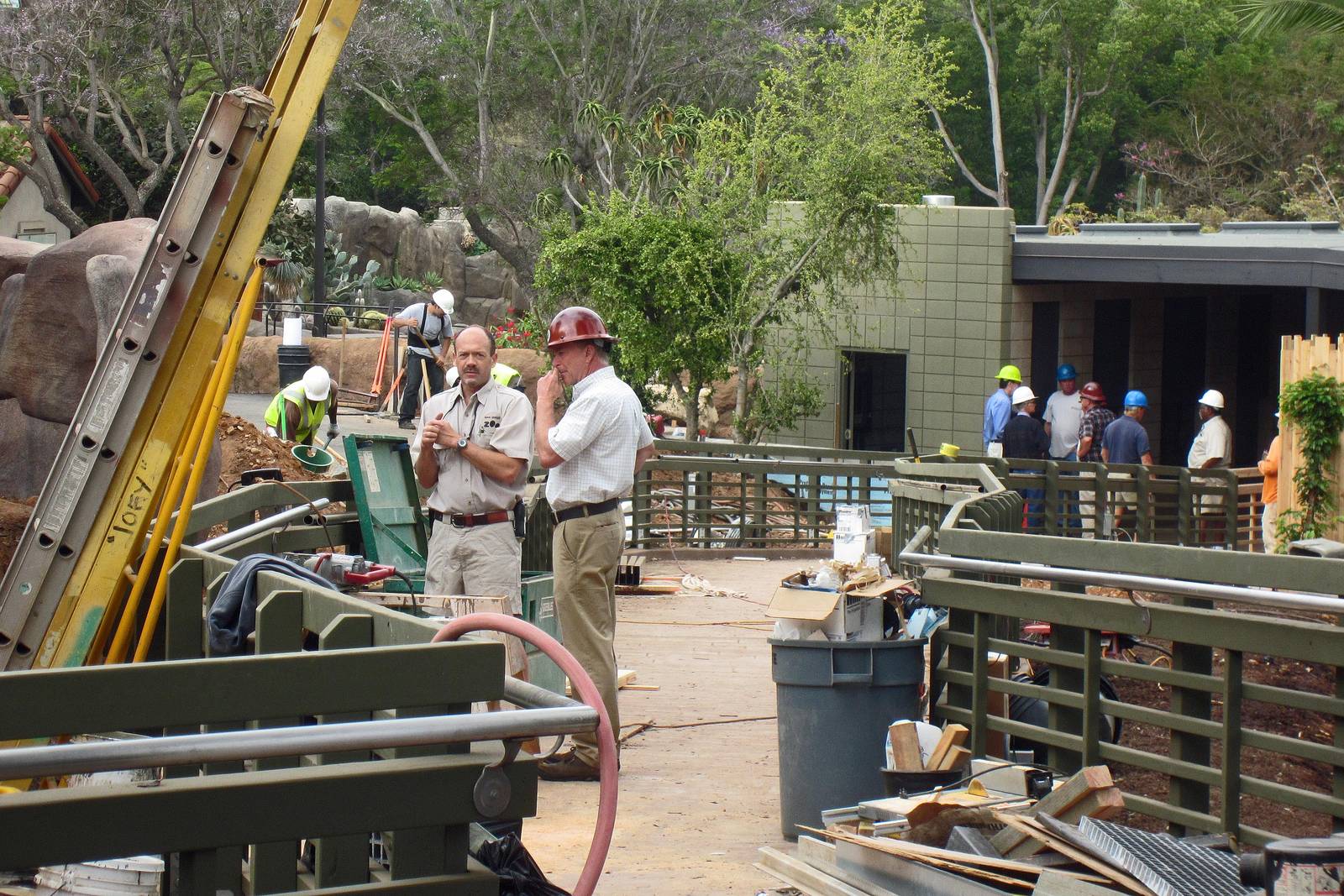 Reptile Mesa renovation