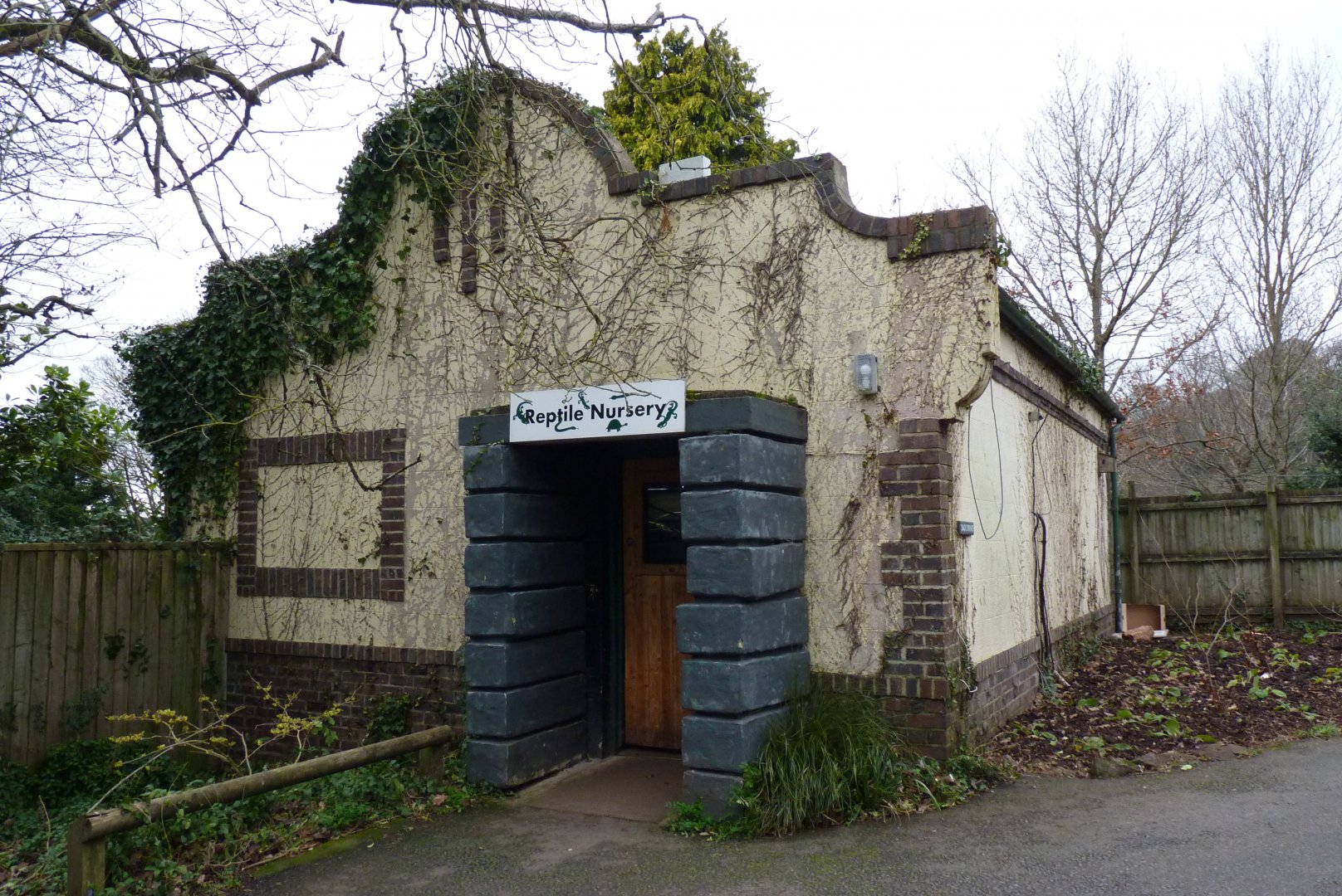 Reptile Nursery, January 2017