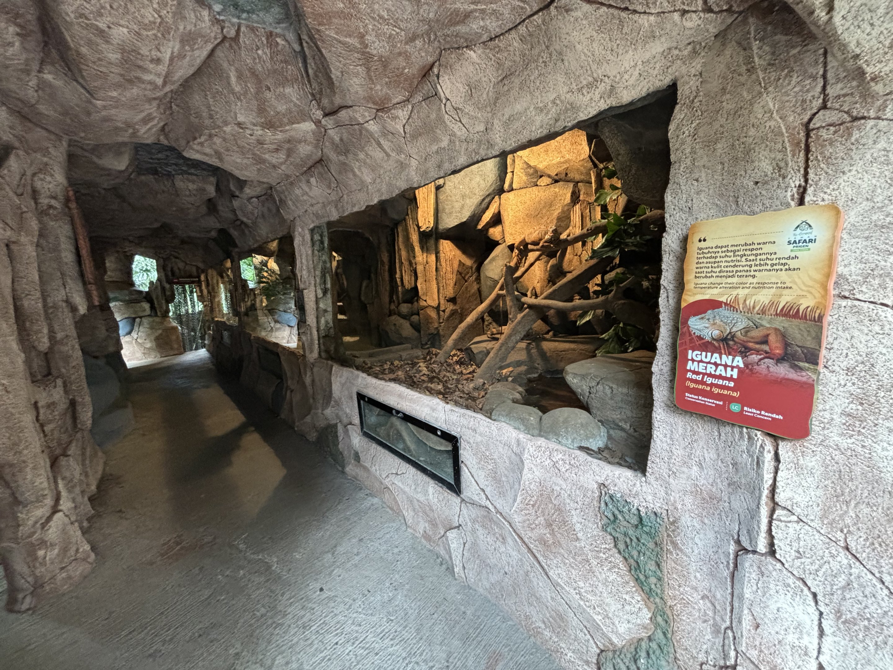 Reptile Park - cave zone #1