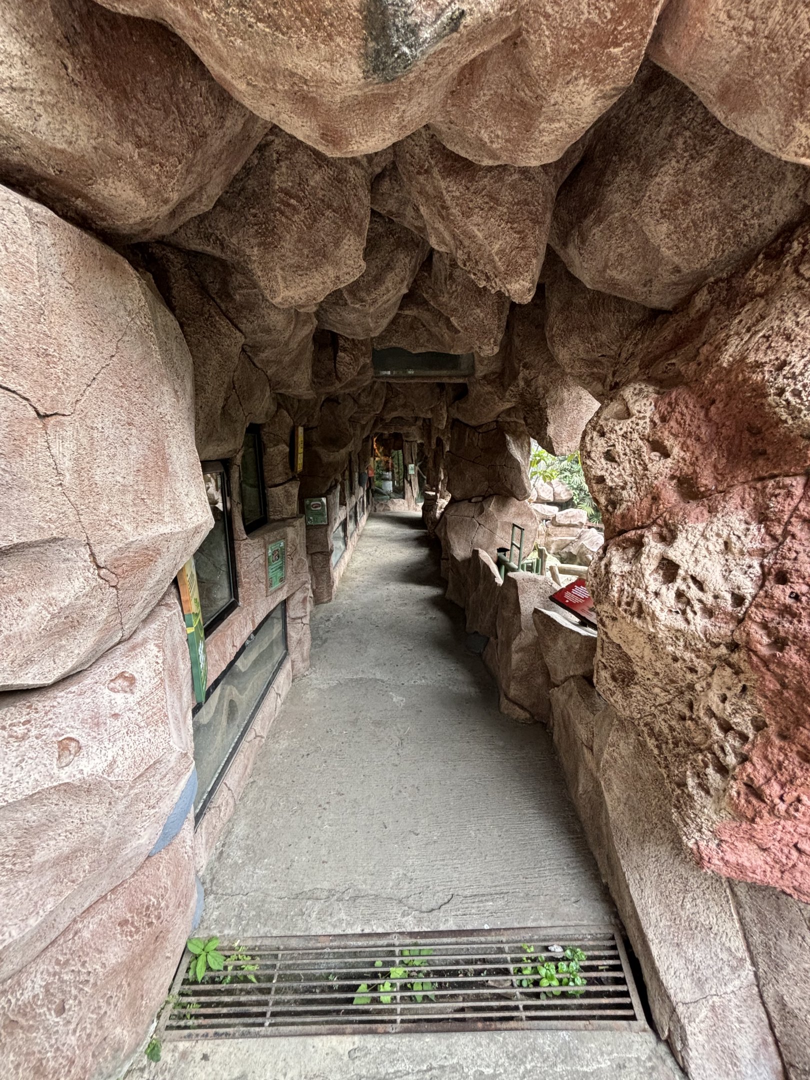 Reptile Park - cave zone #2