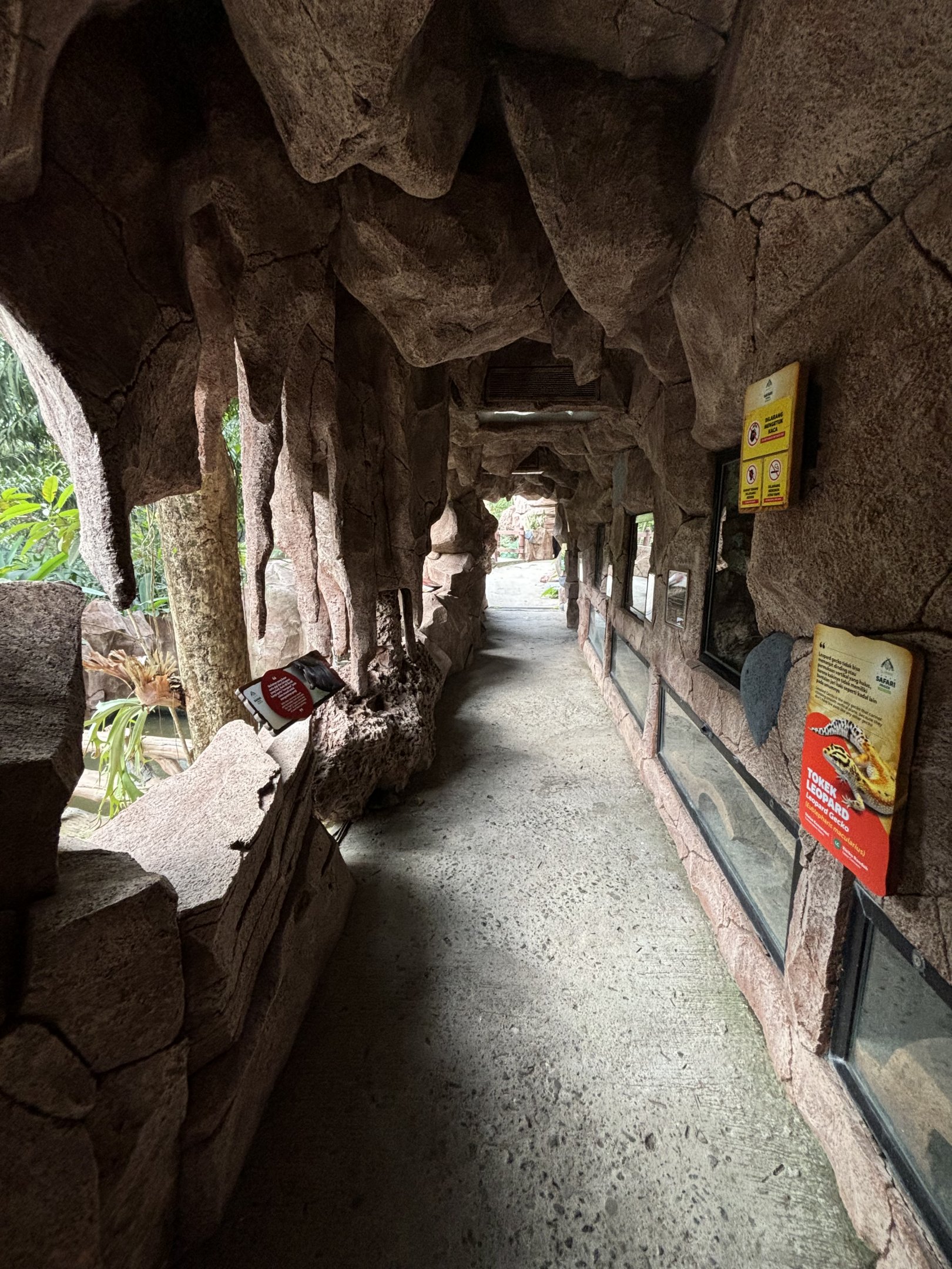 Reptile Park - cave zone