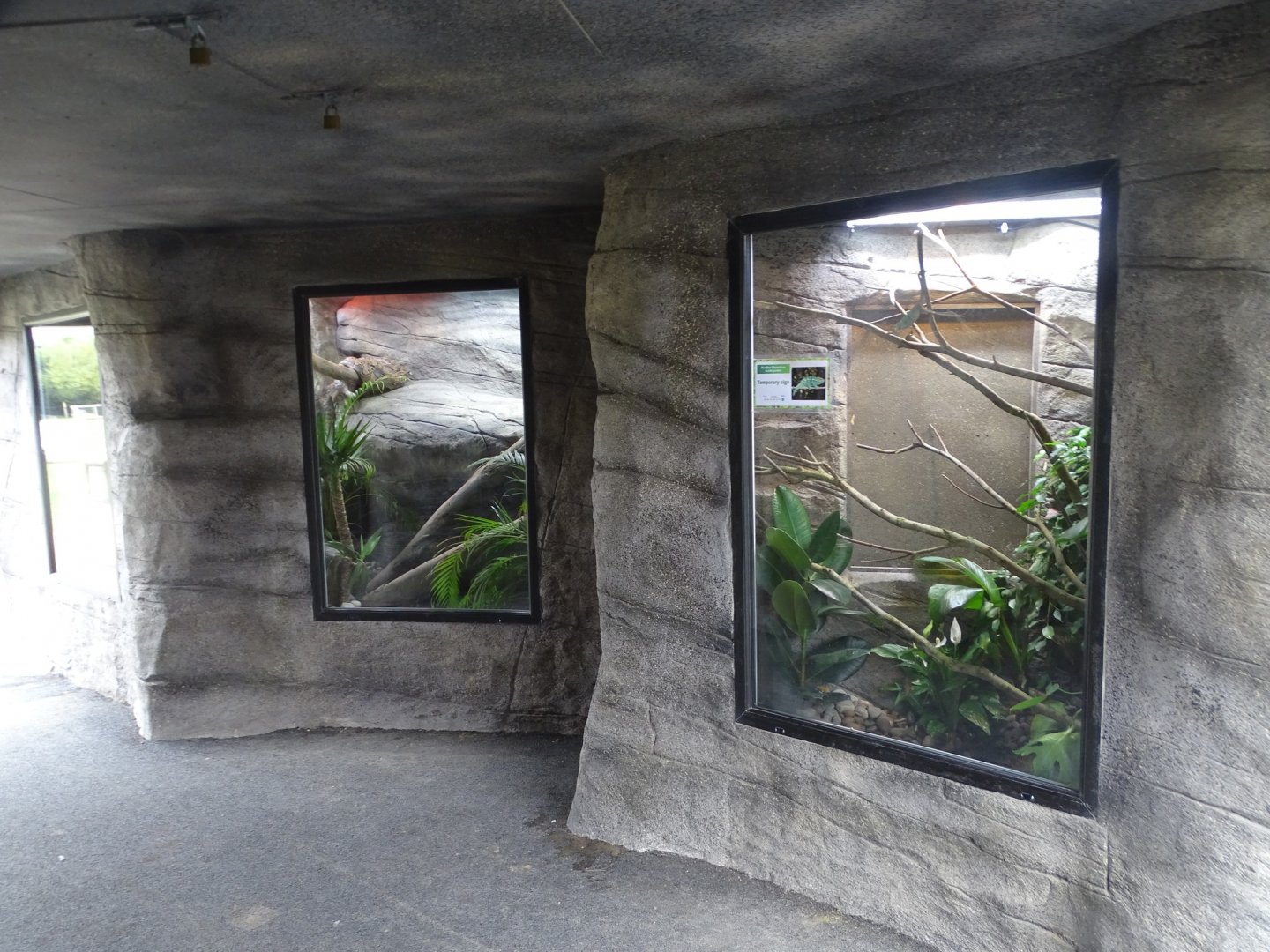 Reptile Realm, 3rd September 2024