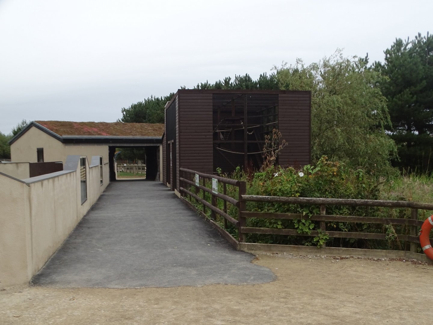 Reptile Realm and new Ring-tailed Coati exhibit, 3rd September 2024