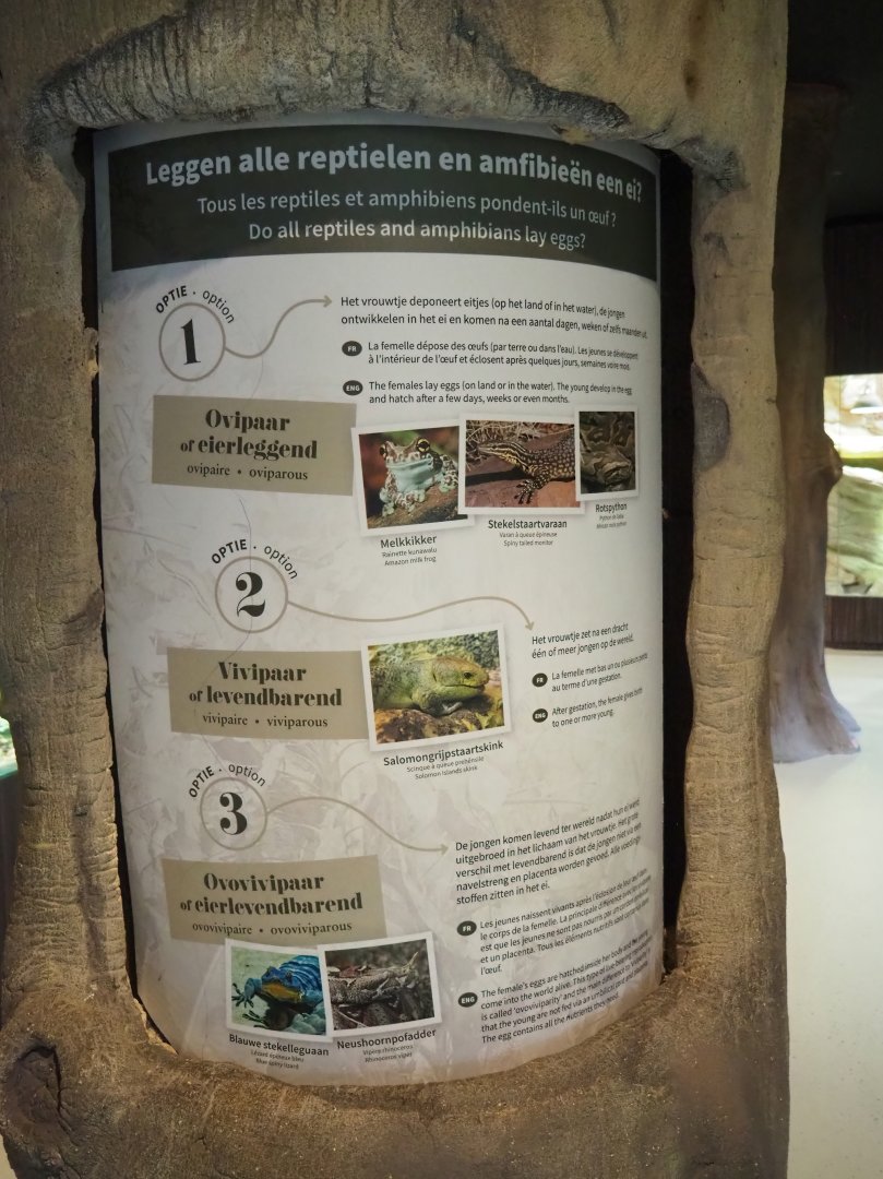Reptile reproduction signage, 2023-07-22