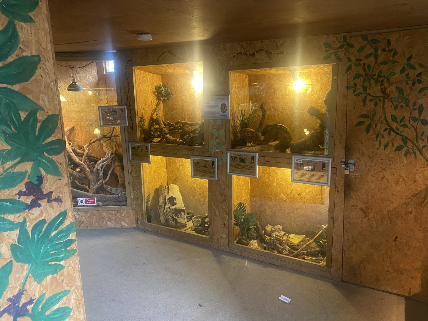 Reptile Room 300623