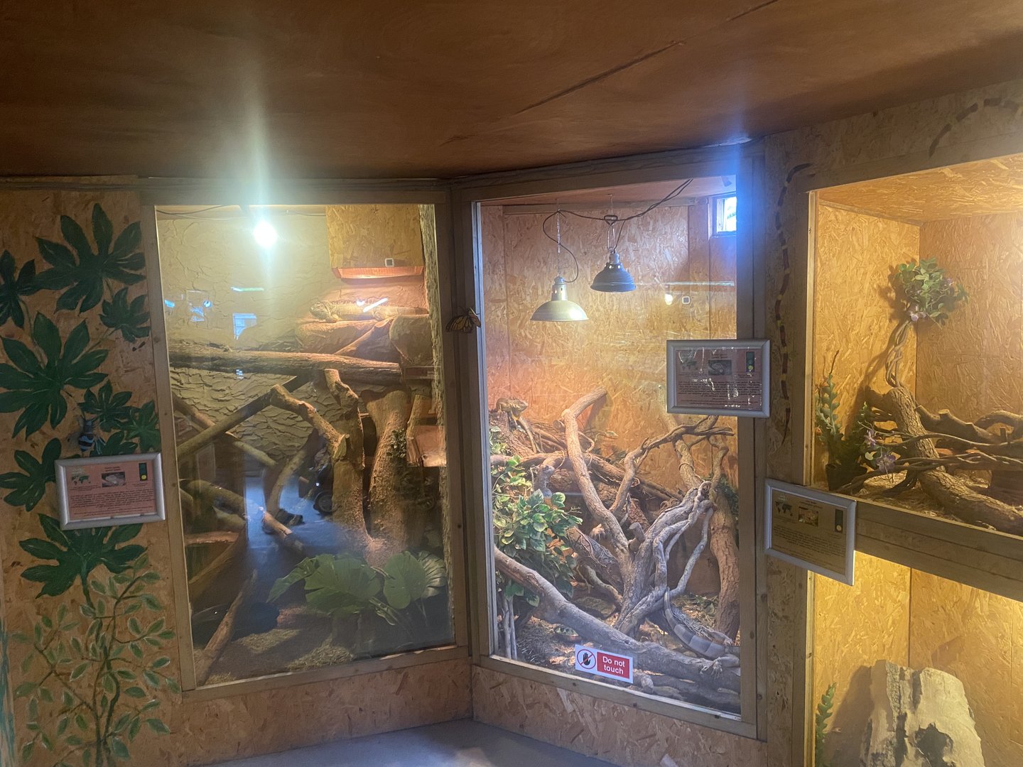 Reptile Room 300623