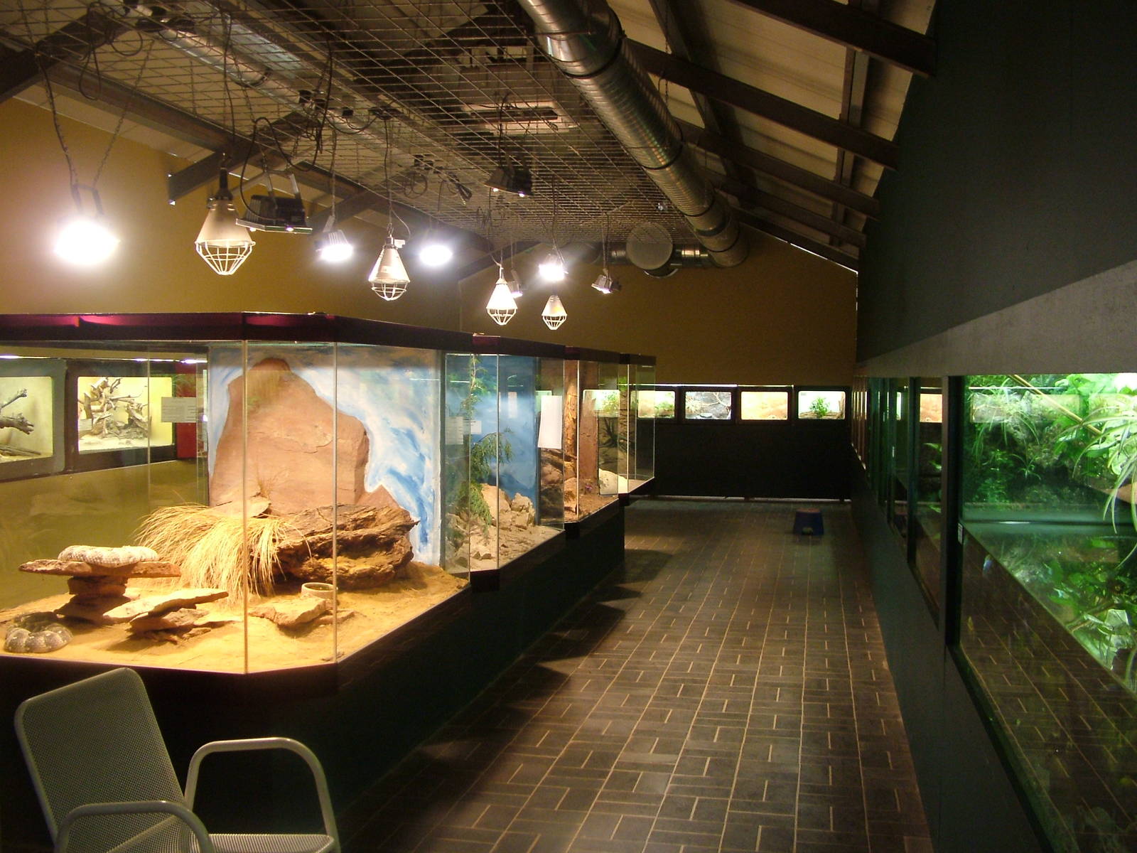 Reptile Room at Darmstadt, 30/08/10