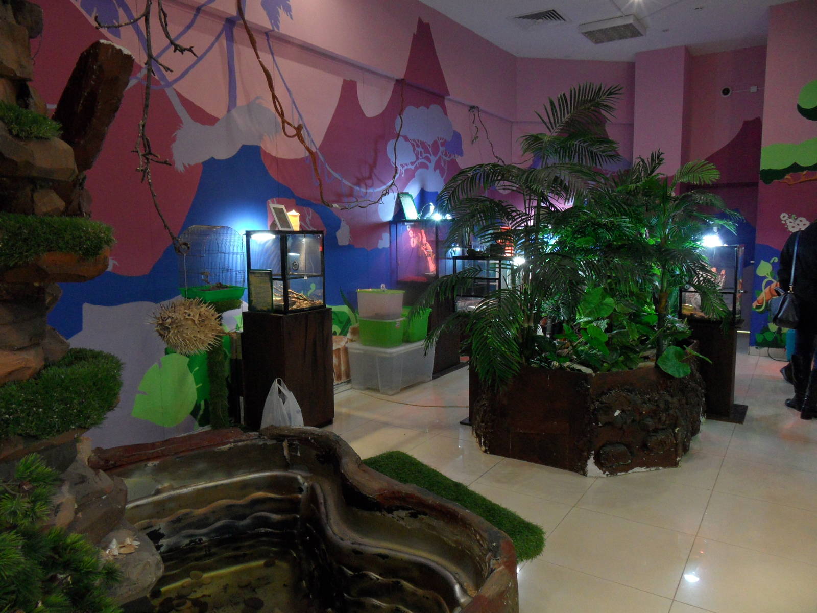 Reptile room interior 3