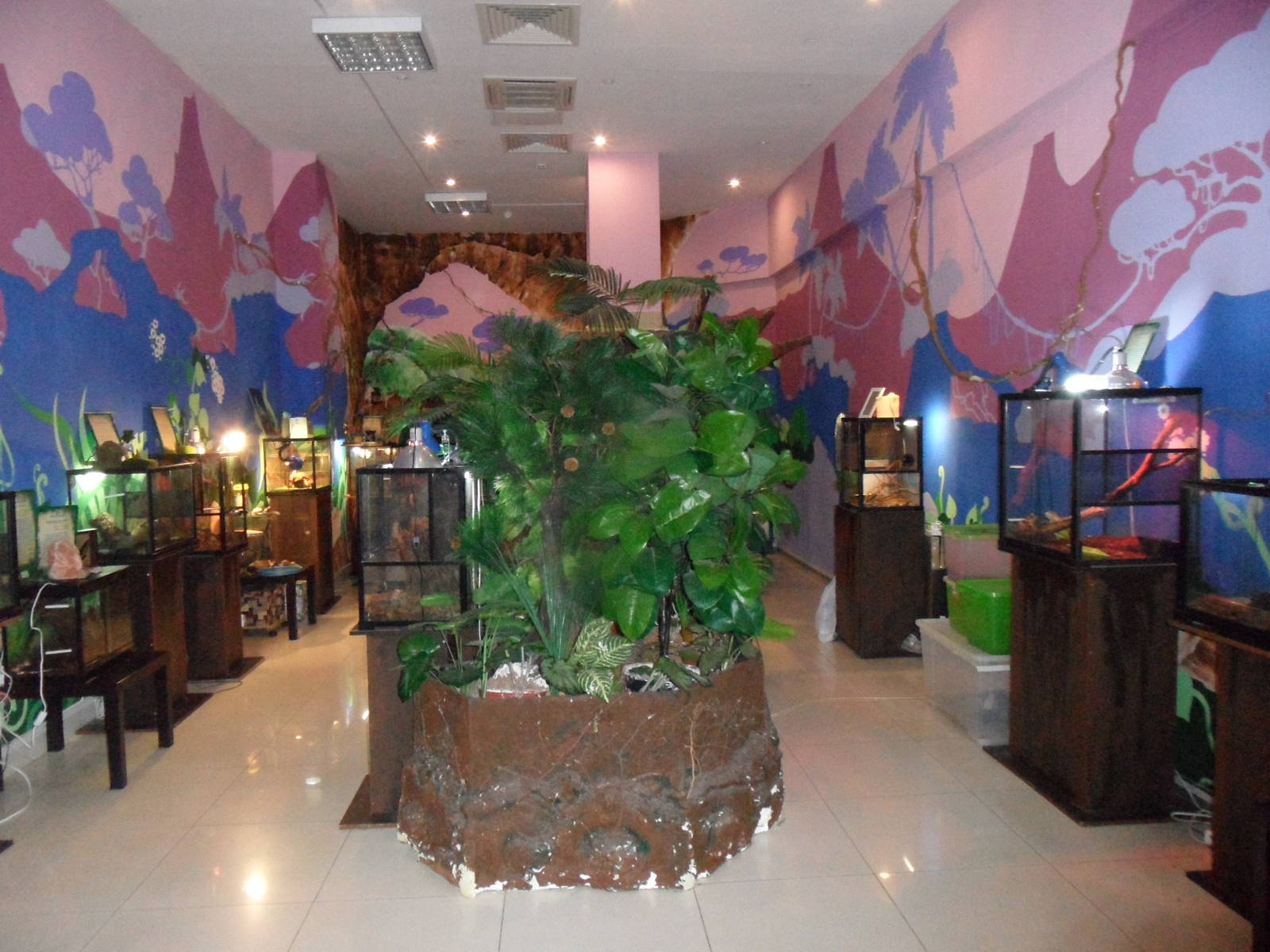 Reptile room interior