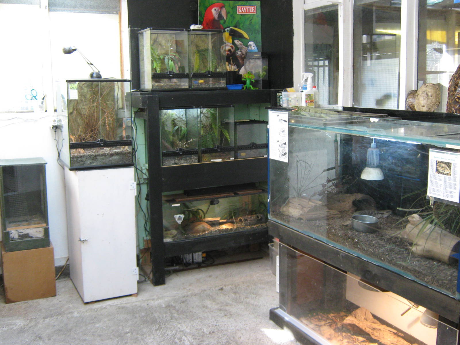 reptile room, Parrot Ranch