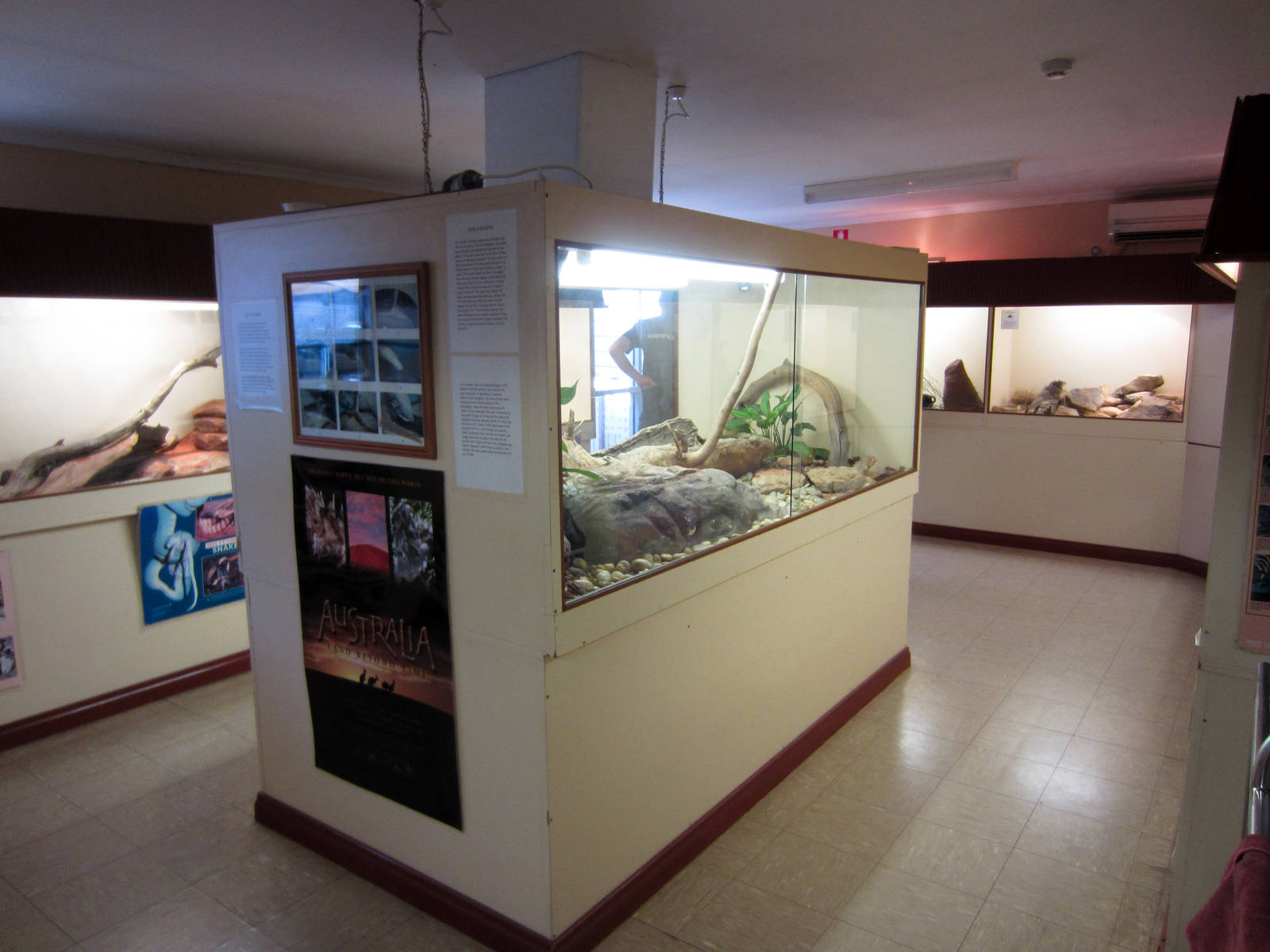 Reptile room