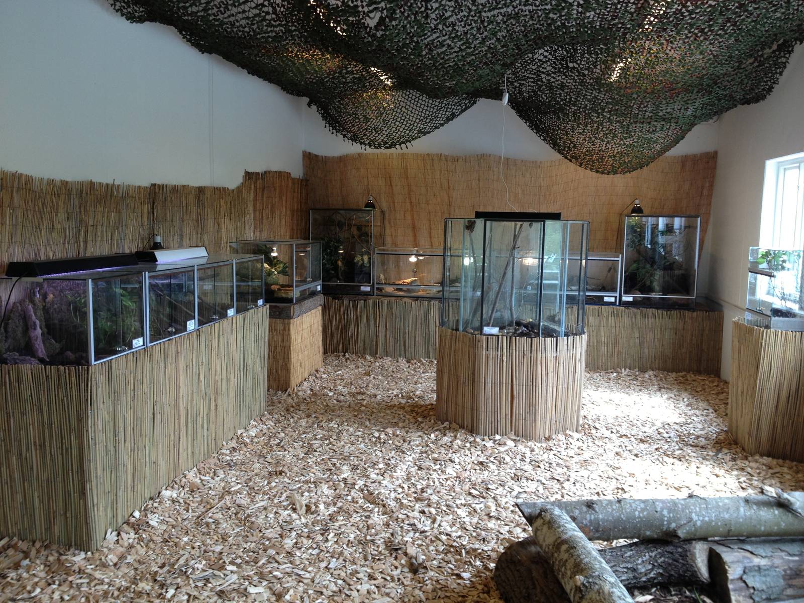 Reptile room