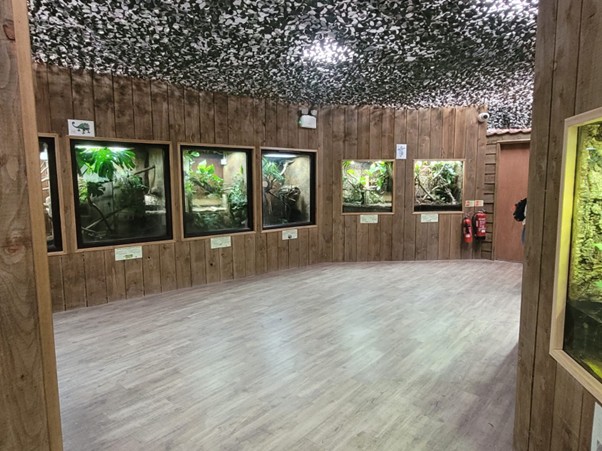 Reptile Room