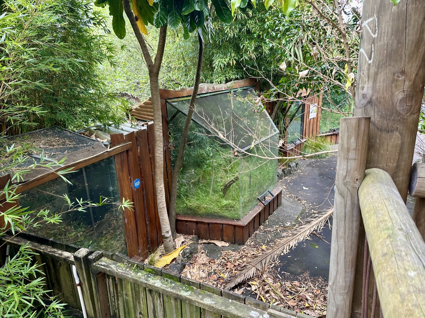 Reptile Row (Still Closed)