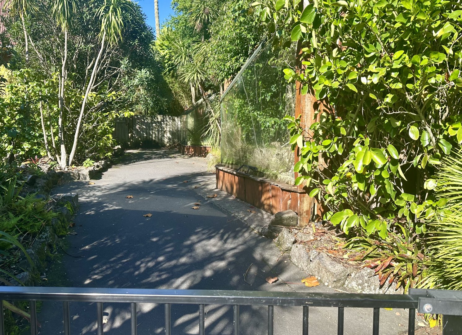 Reptile Row (Still Closed)