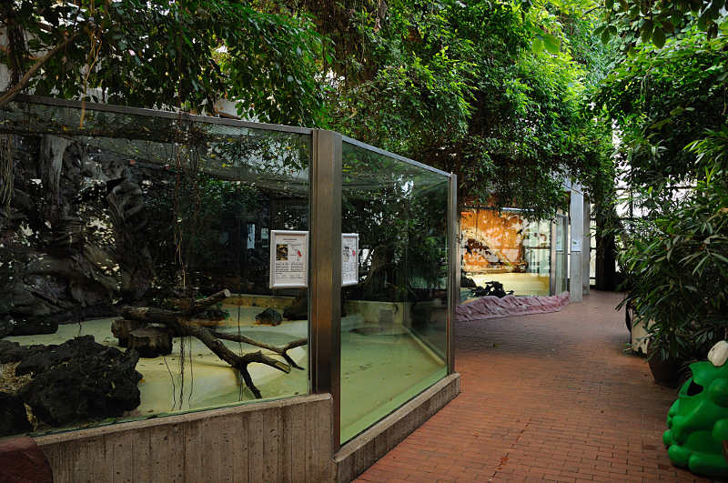 Reptile section inside Amazon house at Dortmund