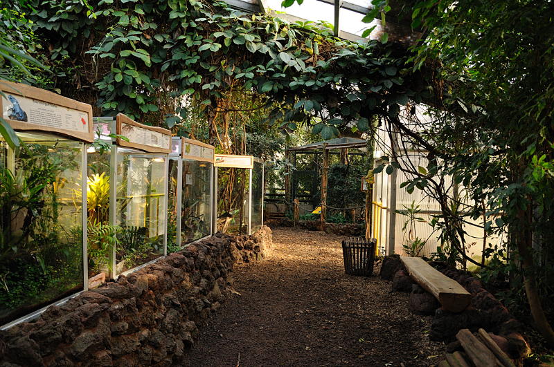 Reptile section inside Amazon house at Dortmund