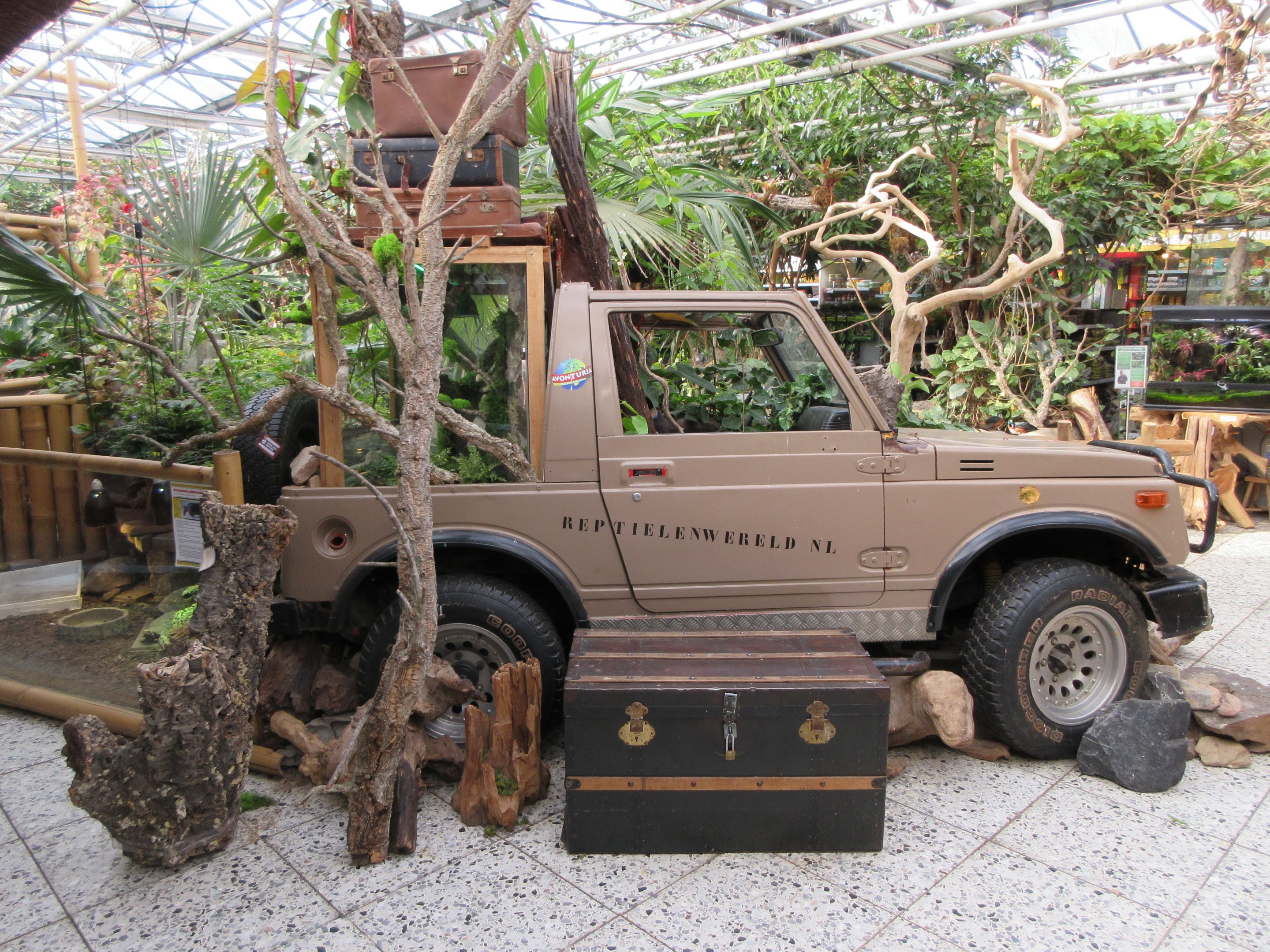 Reptile Section - jeep in pet shop