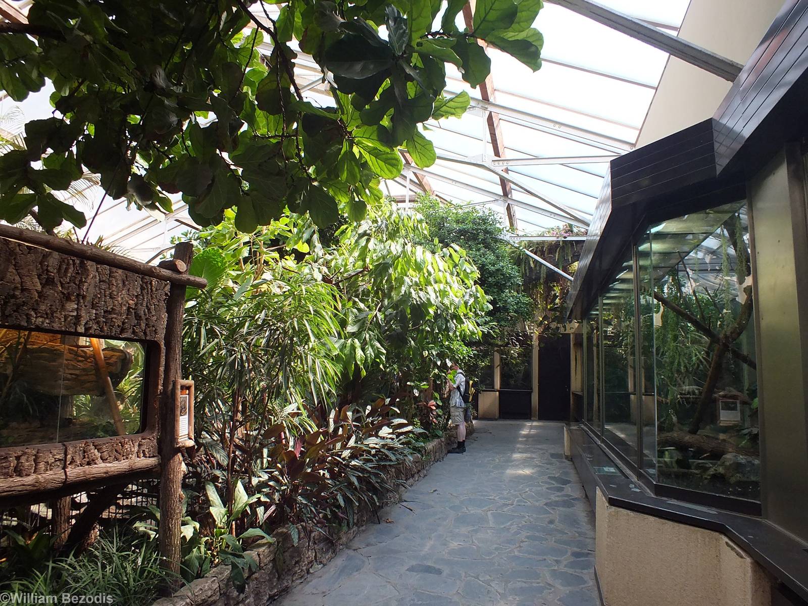 Reptile Section of Aquarium