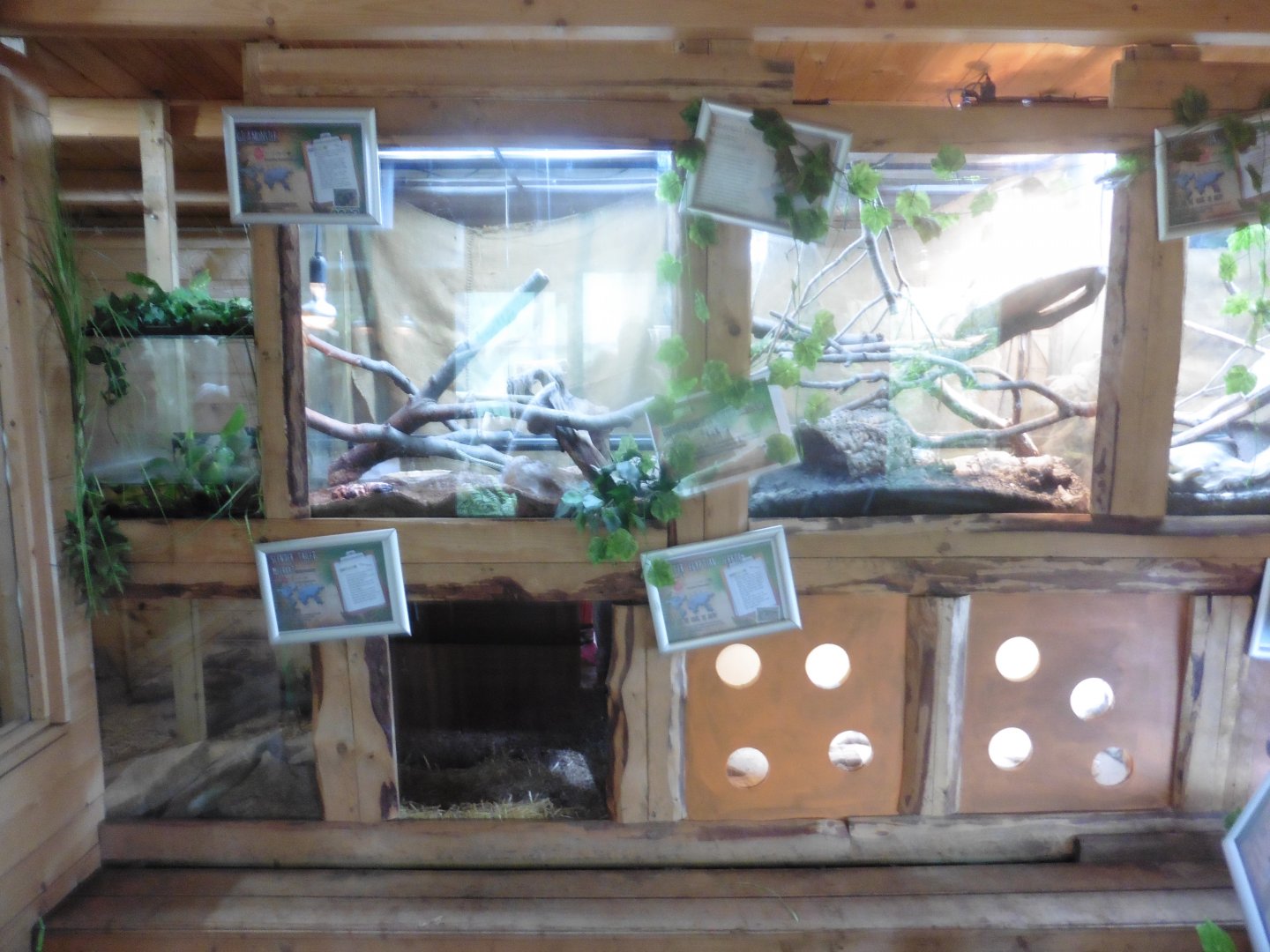 Reptile Shed