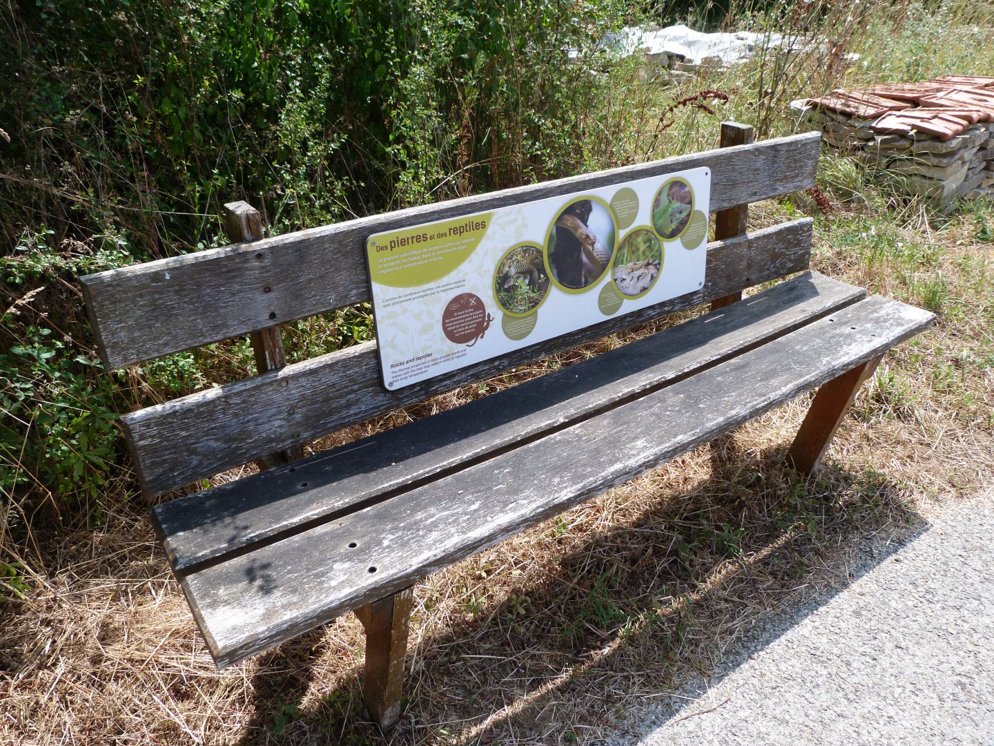 Reptile sign on bench -Zoodyssée (2025)