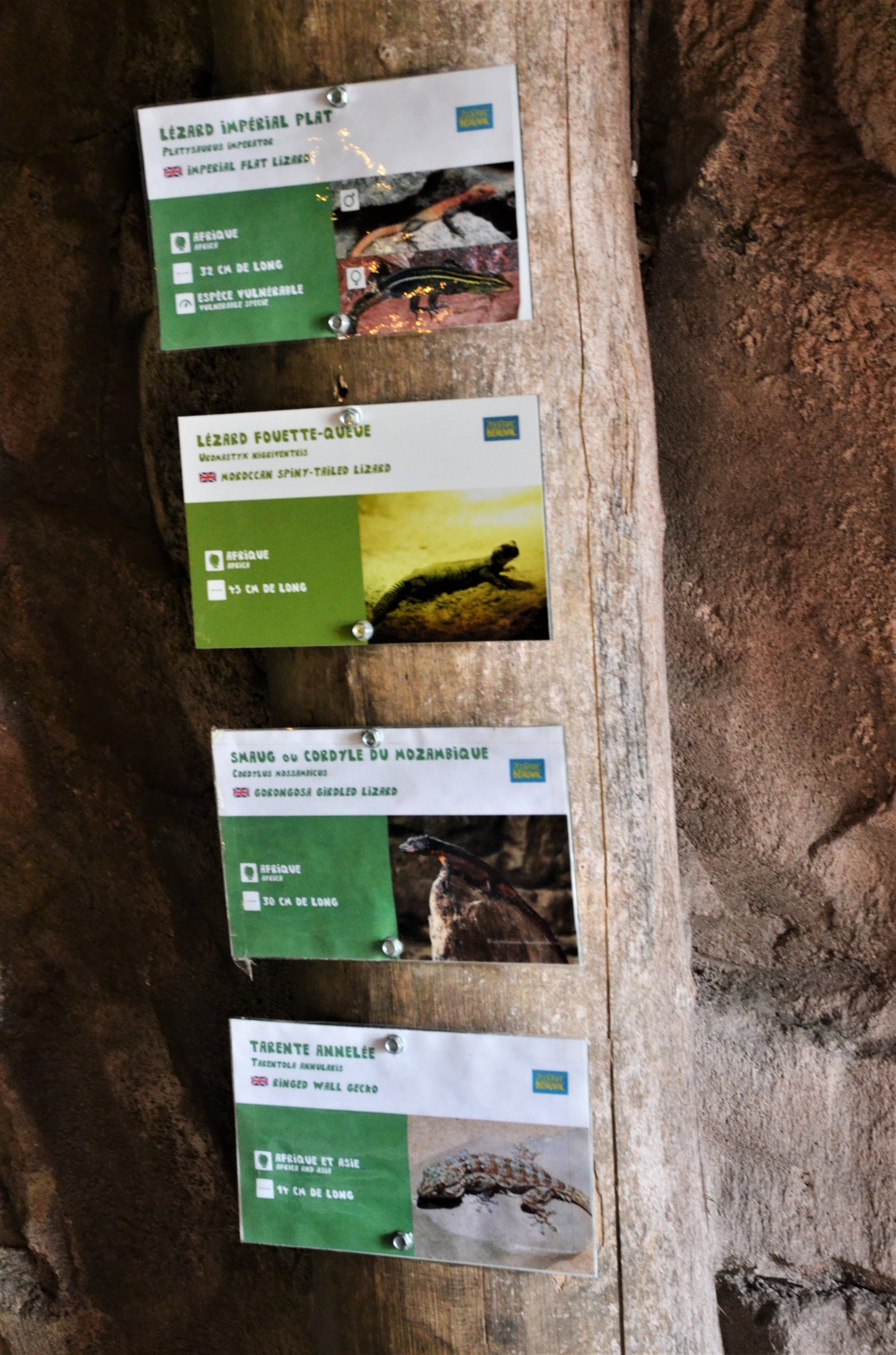 Reptile Signage at Beauval, 12/06/18