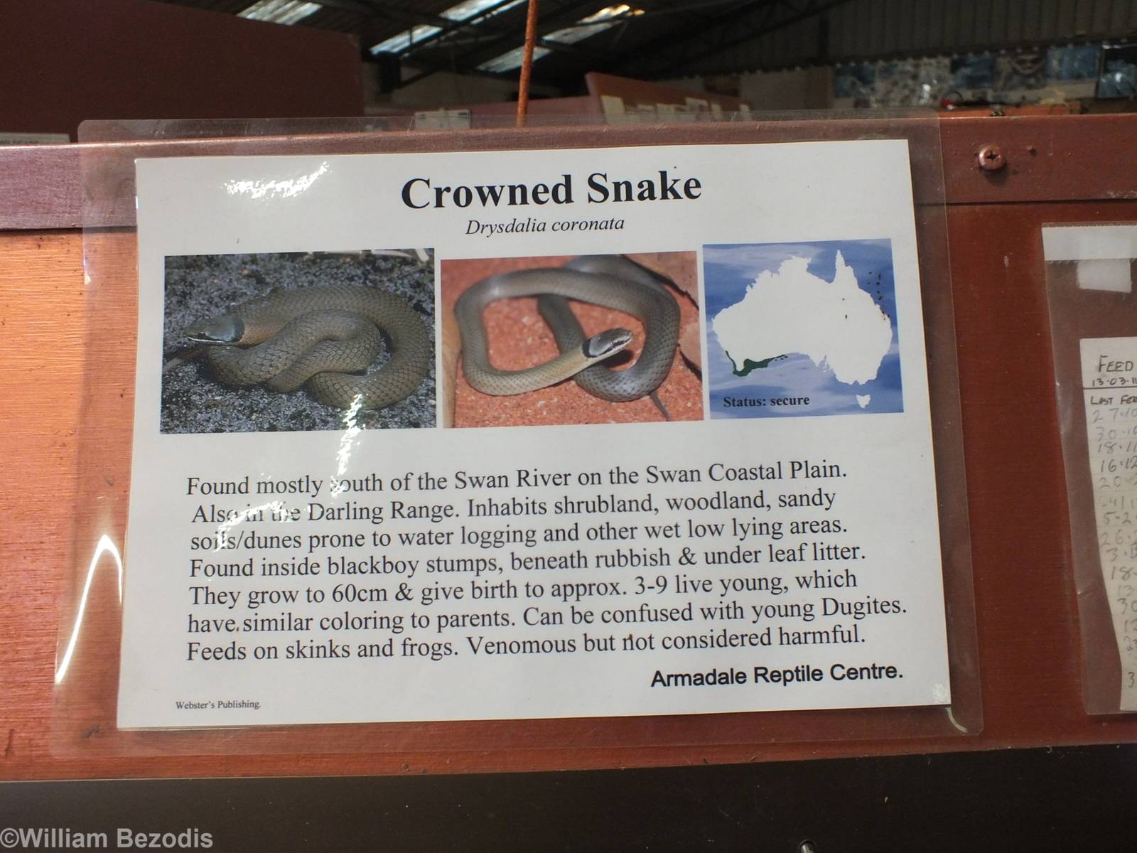 Reptile Signage Example
