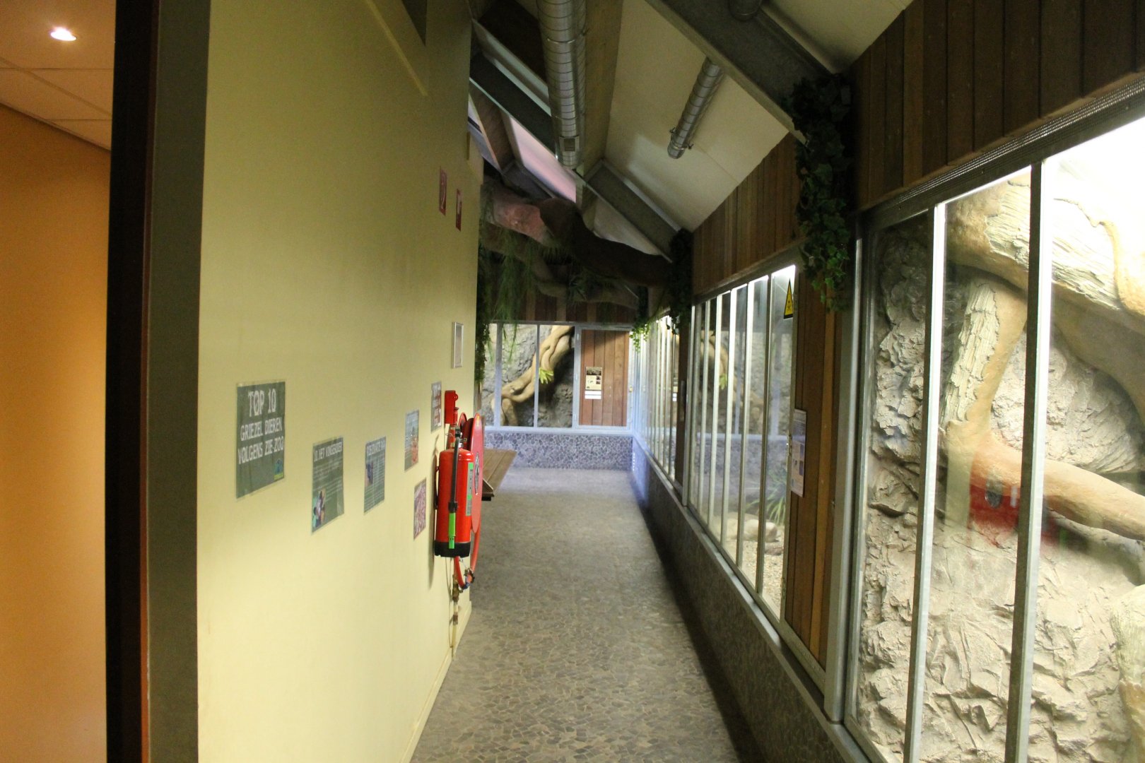 Reptile - Small Mammal Attic