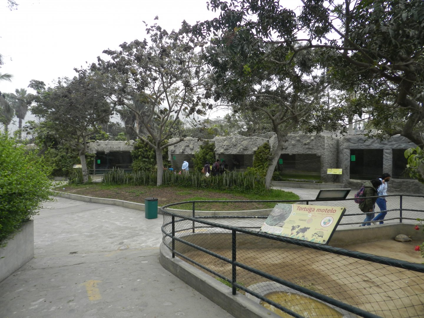 Reptile square - Parque Zoológico Huachipa