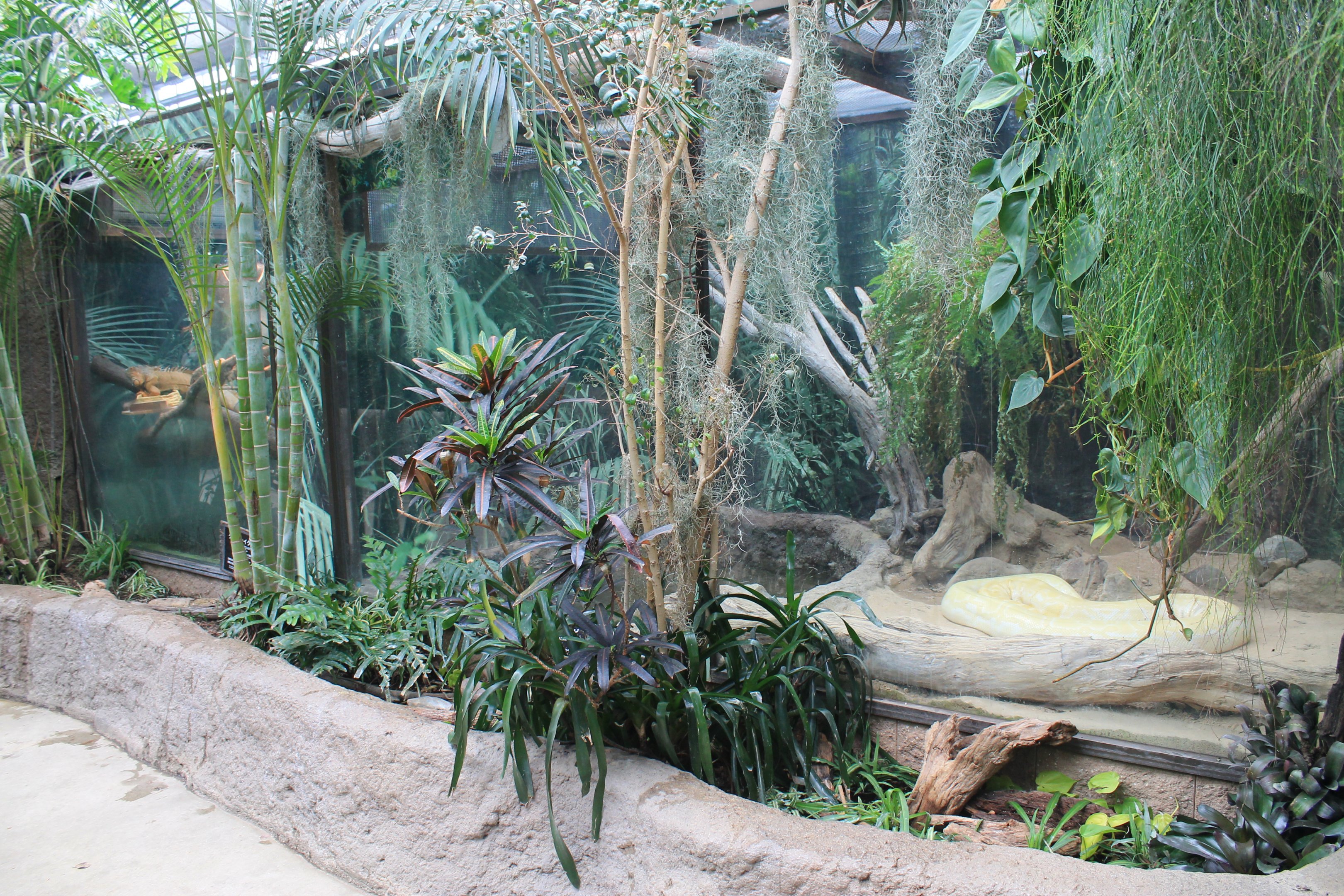 Reptile tanks in Tropical Wetland