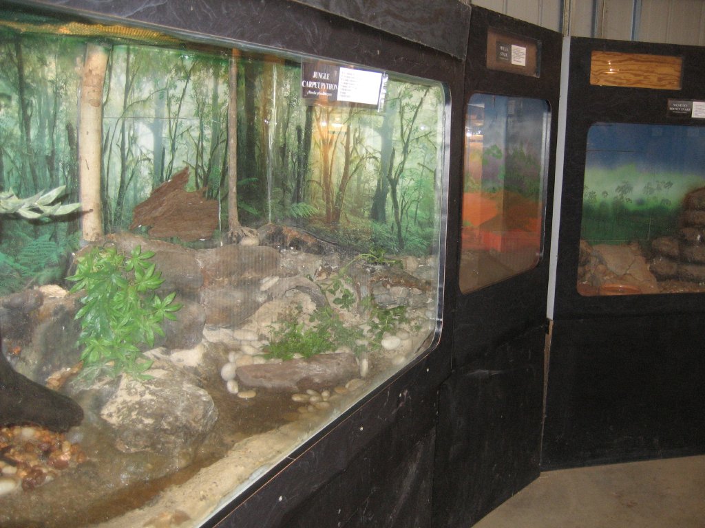 Reptile tanks