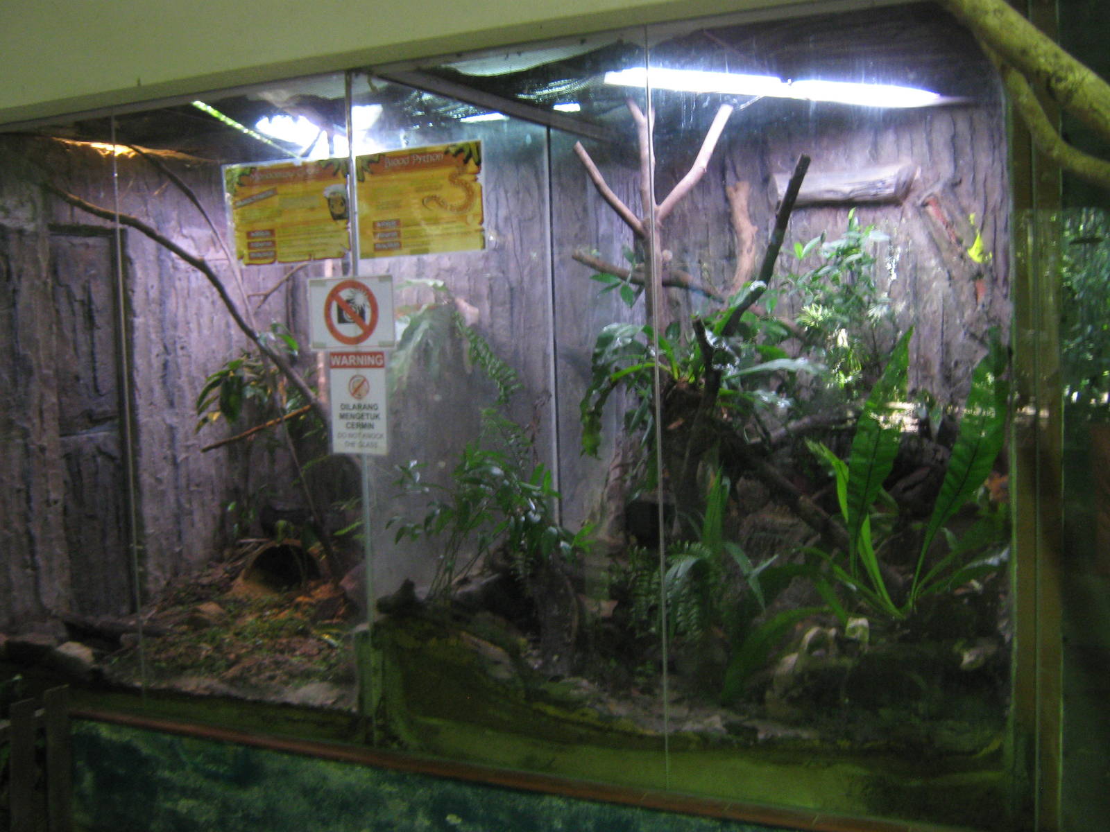reptile tanks