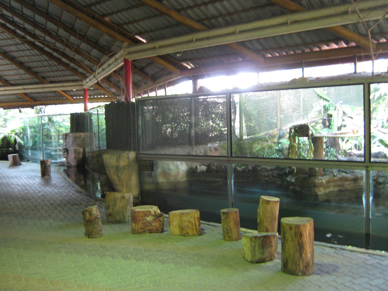 reptile tanks