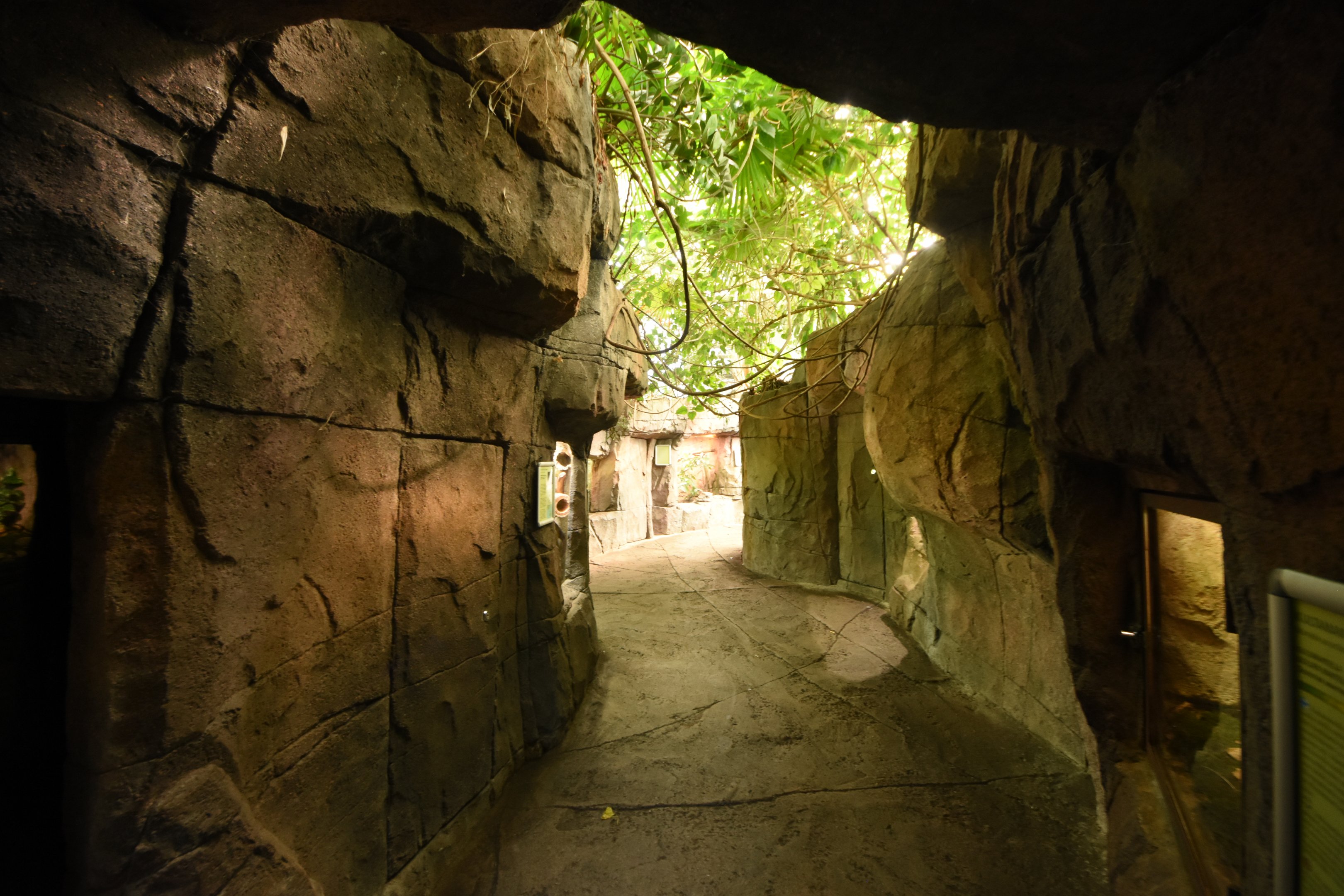 Reptile terraria in Asian house