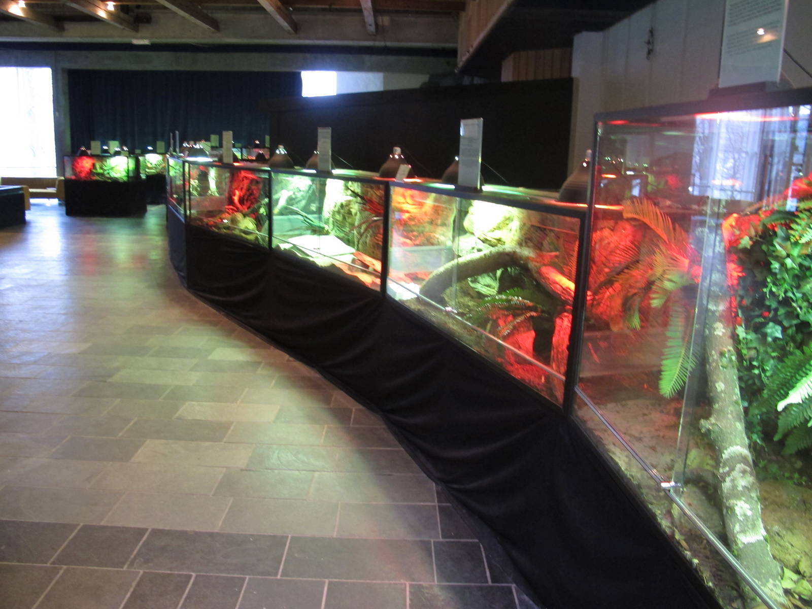 Reptile Terrariums - Bergen Akvariet 2012