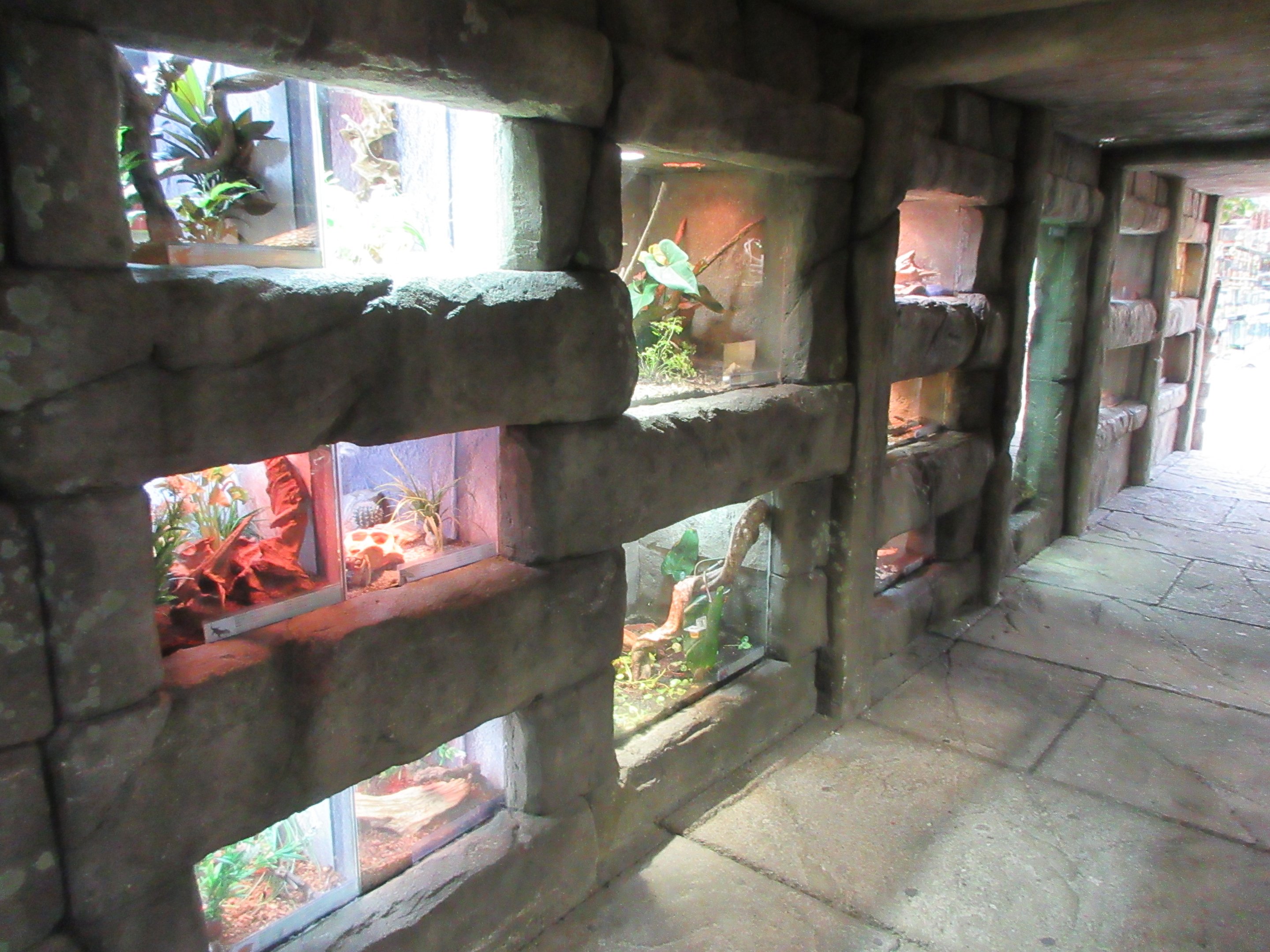 Reptile Terrariums (pet shop section)