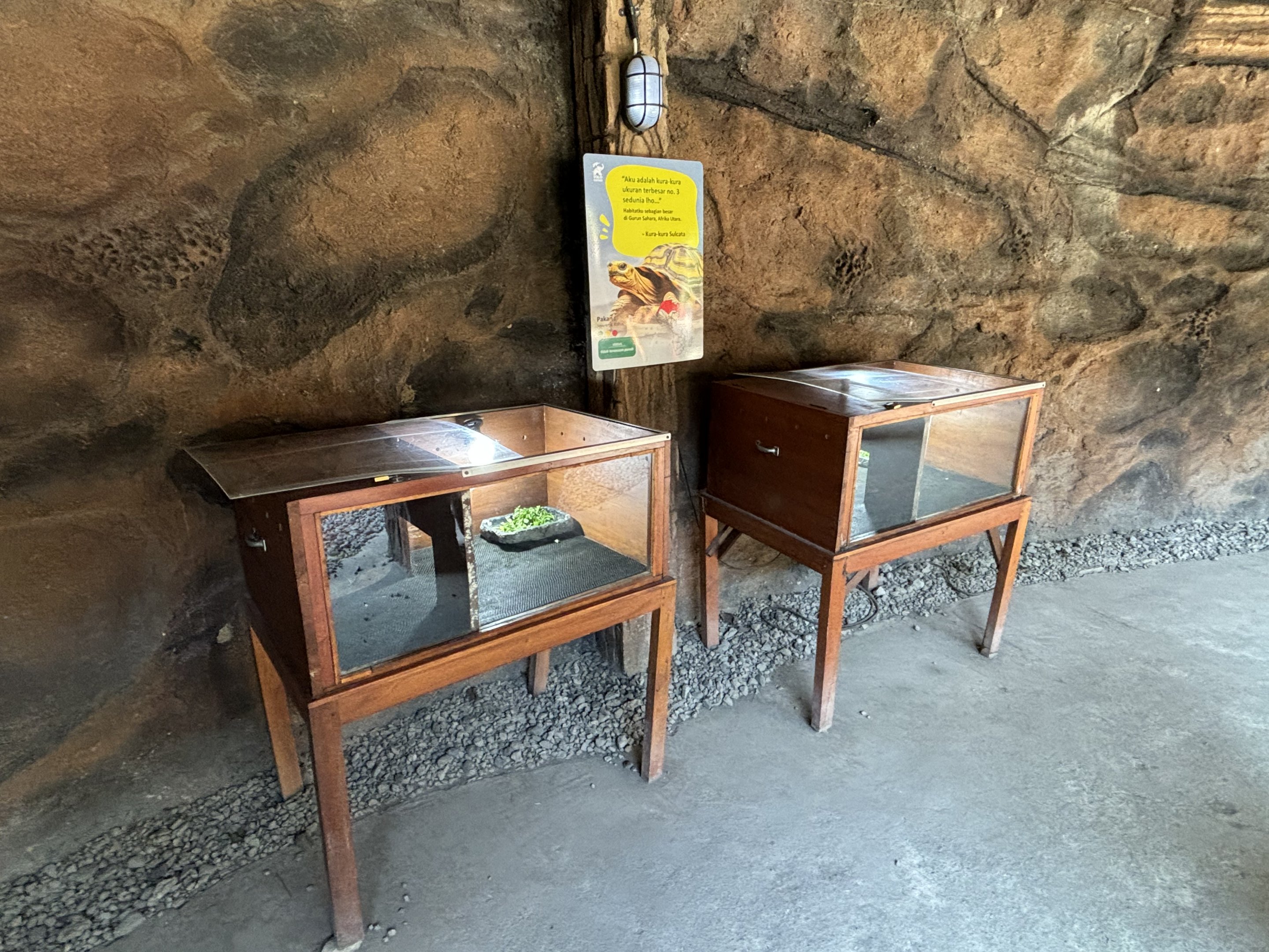 Reptile Terrariums - Solo Safari