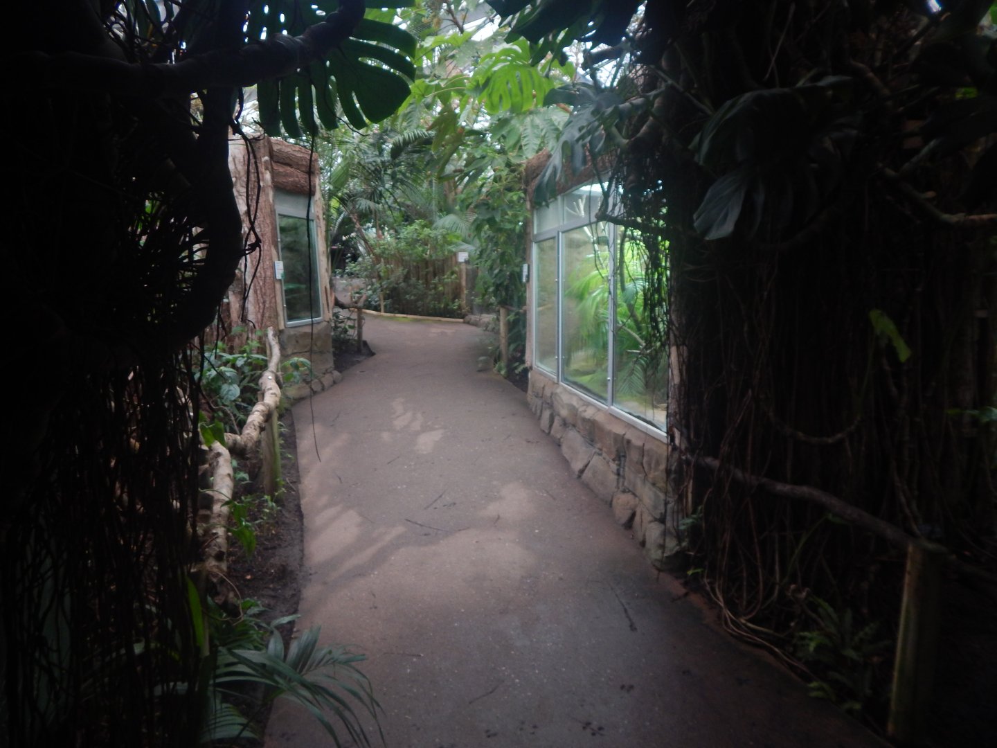 Reptile Tropics 050224