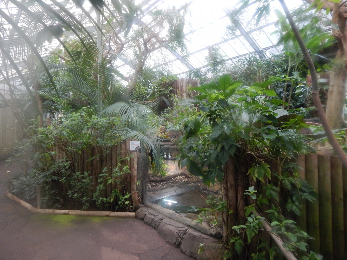 Reptile Tropics 050224