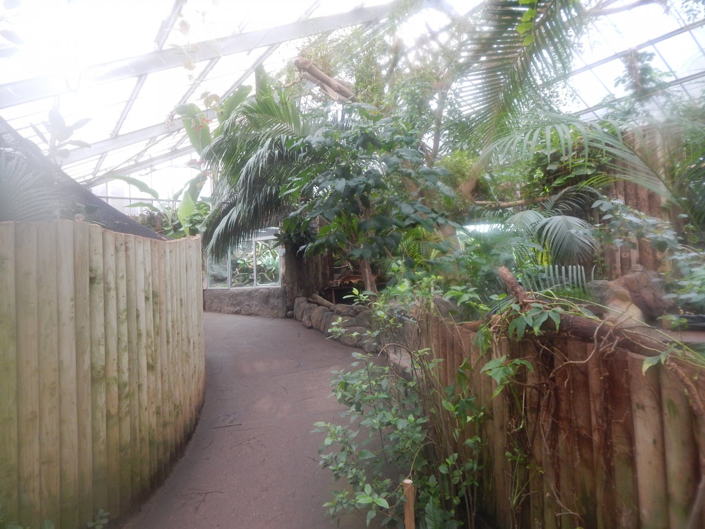 Reptile Tropics 050224