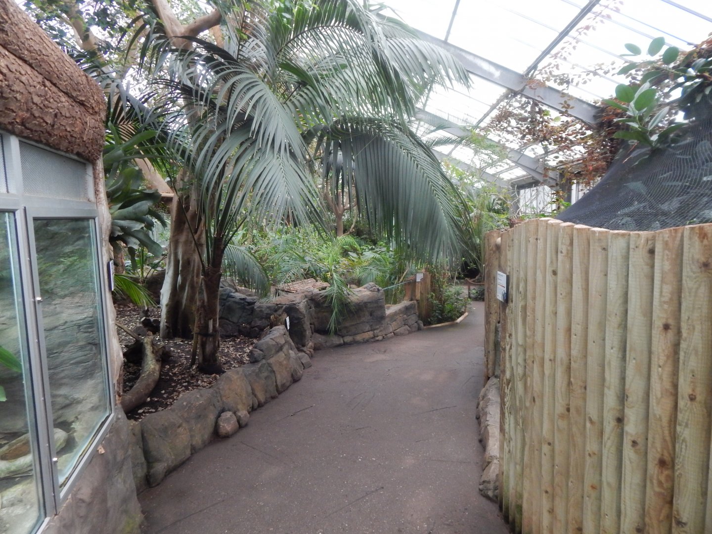 Reptile Tropics 050224