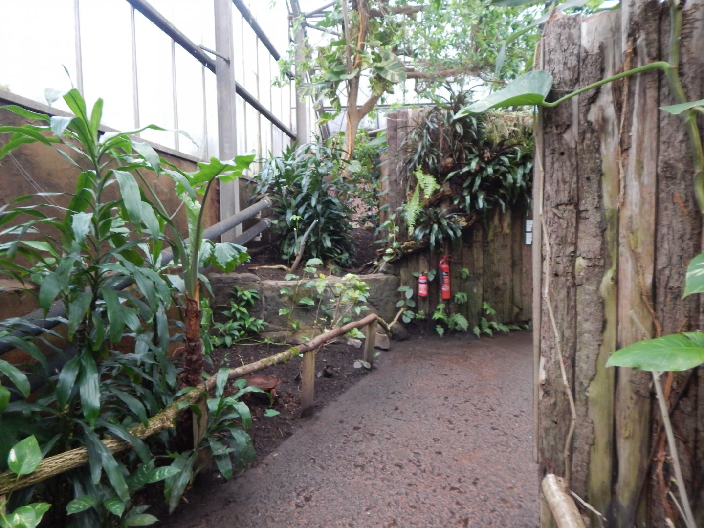 Reptile Tropics 050224