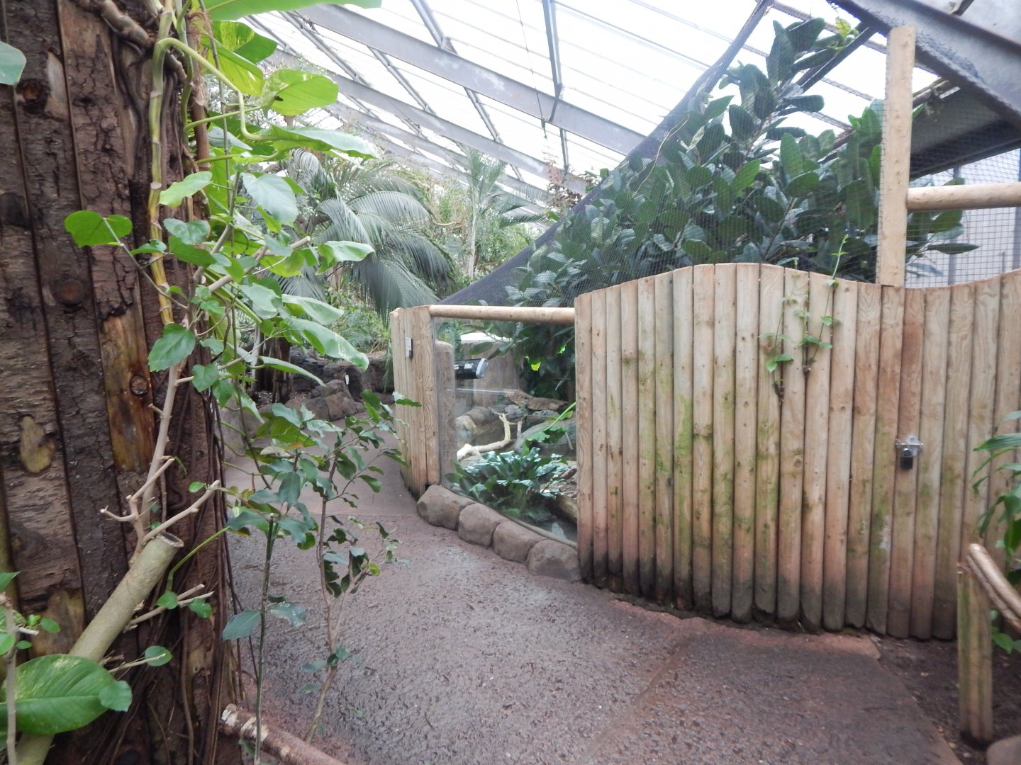 Reptile Tropics 050224