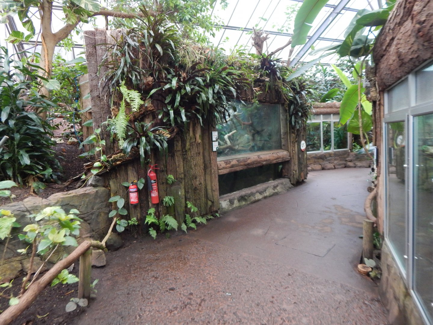 Reptile Tropics 050224