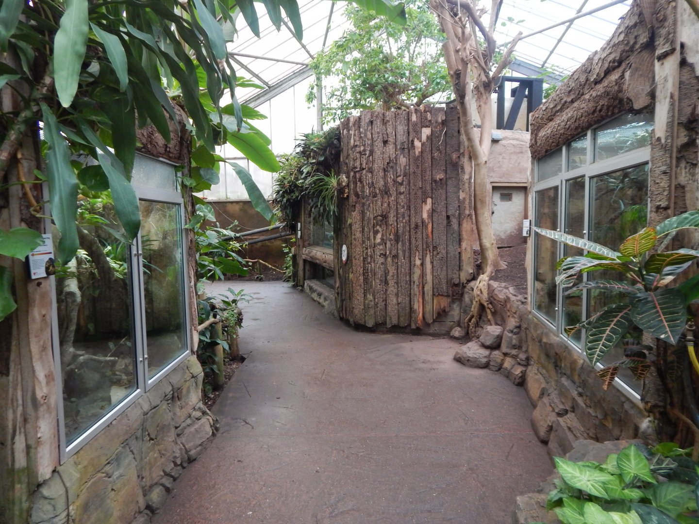 Reptile Tropics 050224