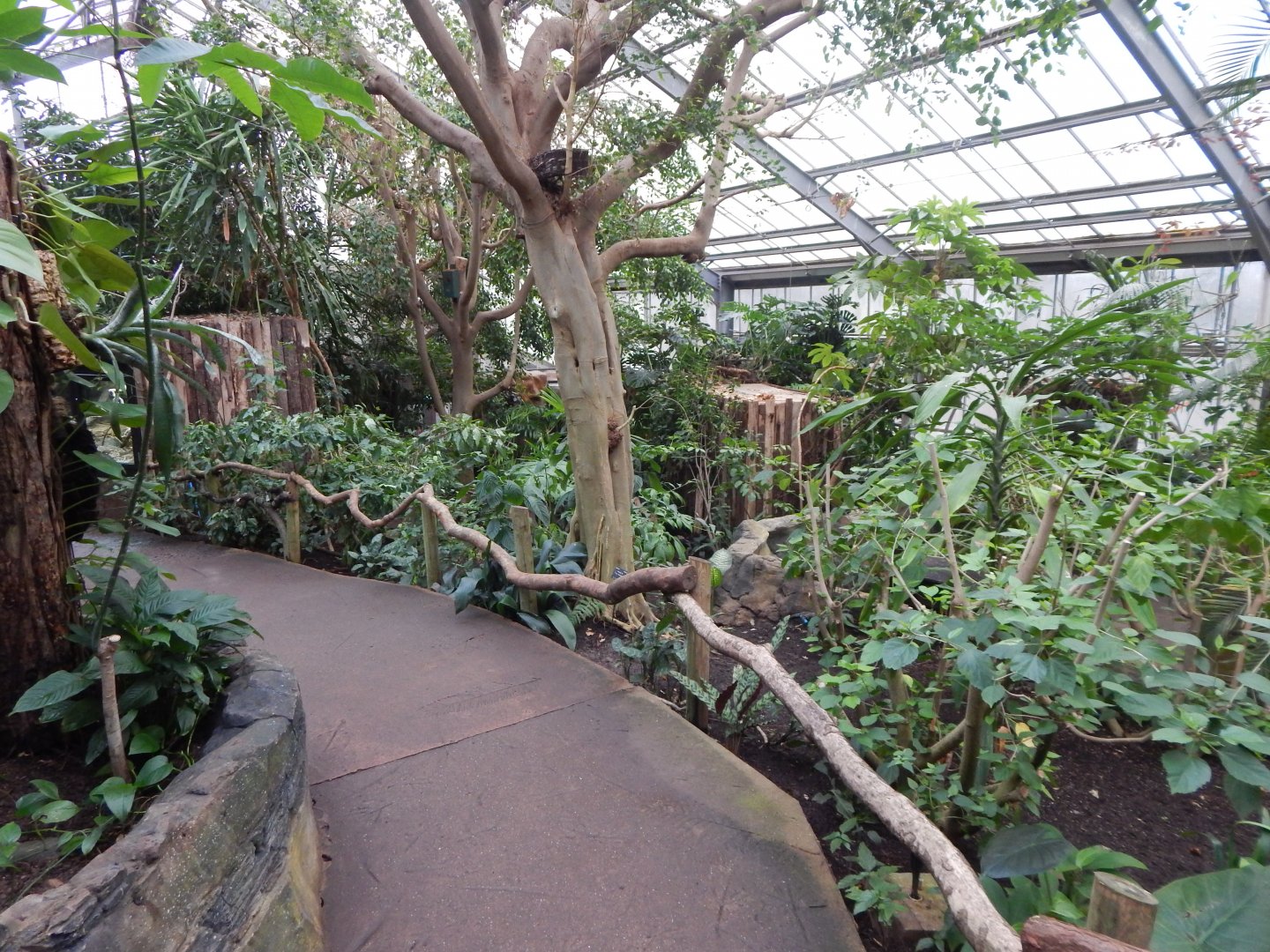 Reptile Tropics 050224