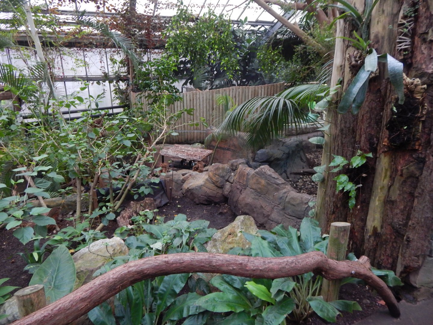 Reptile Tropics 050224