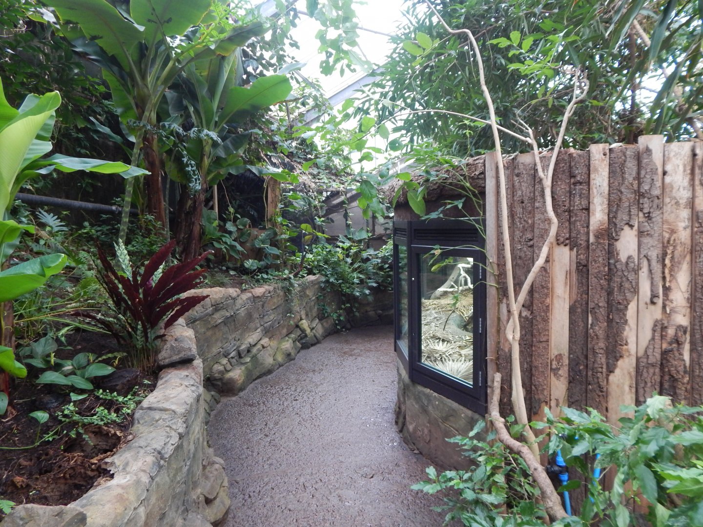 Reptile Tropics 050224